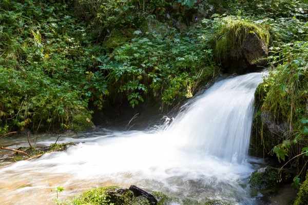 Bella cascata sul fiume — Foto Stock