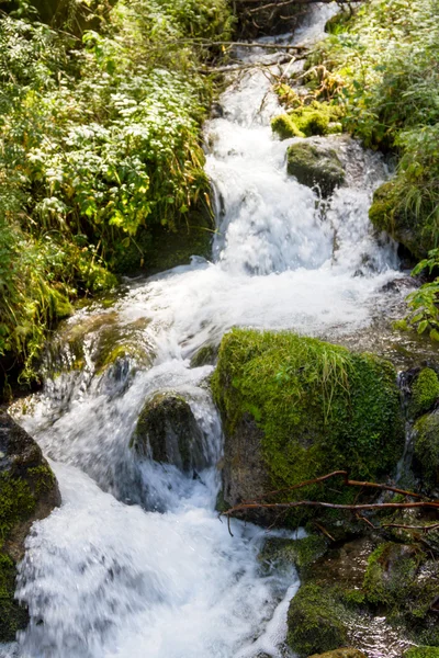 küçük bir şelale ile dere