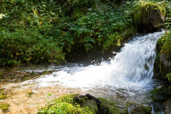 Piccola cascata nel bosco con spruzzi — Foto Stock