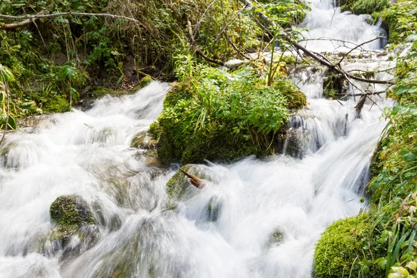 Schnelle Strömung im Bach — Stockfoto