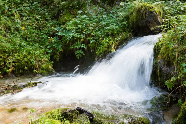 Cascata nella foresta con spruzzi — Foto Stock