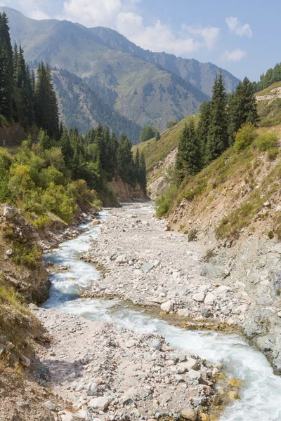 Güzel dağ nehri — Stok fotoğraf