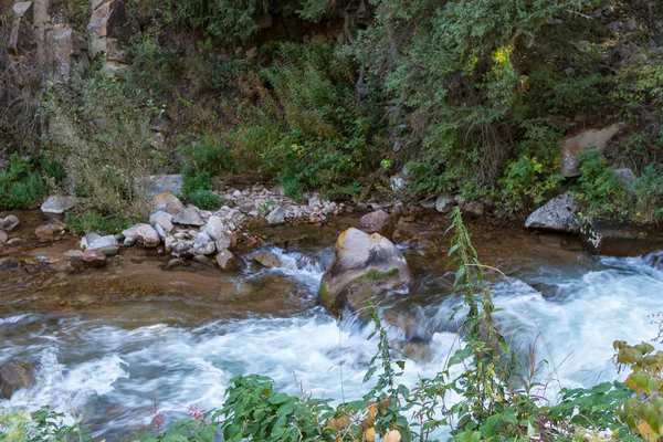 Paesaggio in montagna sul fiume Foto Stock