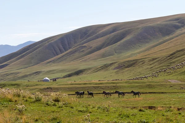 Pastos de montaña en Kazajstán — Foto de Stock