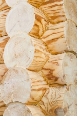 bir ağaçtan evinin köşesindeki