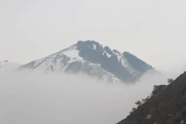 Nebel in den Bergen — Stockfoto