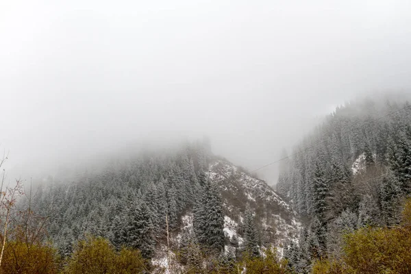 Mgła na szczycie góry — Zdjęcie stockowe