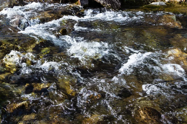 De l'eau propre dans le ruisseau — Photo
