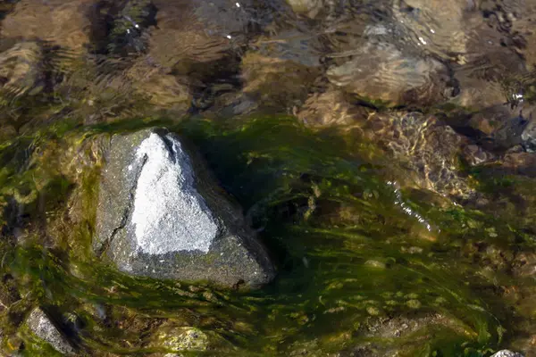 Piedra con barro en el río —  Fotos de Stock
