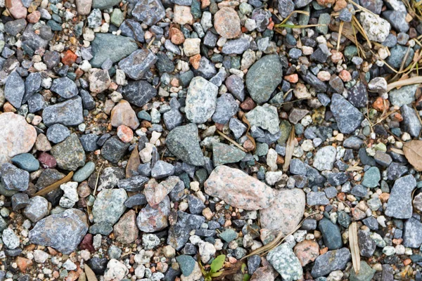 Guijarros con basura —  Fotos de Stock