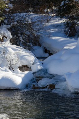 Kar altında gölge güzel dağ dere