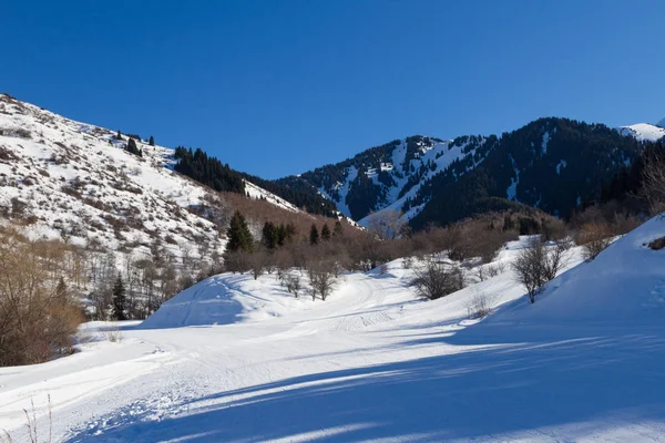 カザフスタンの山奥の道をスキー — ストック写真