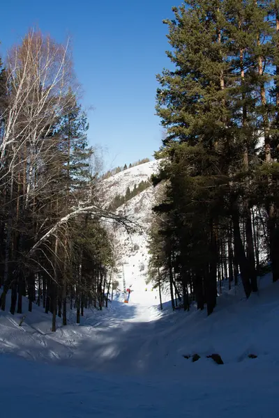 Trail voor skiën in de bergen van Kazachstan — Stockfoto