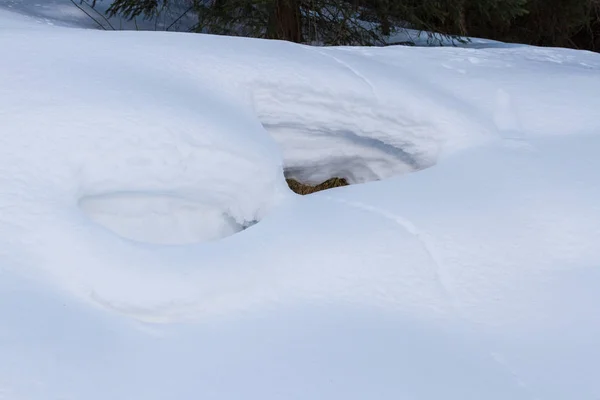 Dierlijke sporen in de witte sneeuw die zich uitstrekt in de clearing — Stockfoto