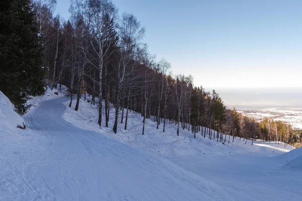 Ski διαδρομή μέσα από ένα δάσος — Φωτογραφία Αρχείου