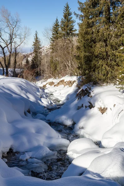 Górski potok w śniegu — Zdjęcie stockowe