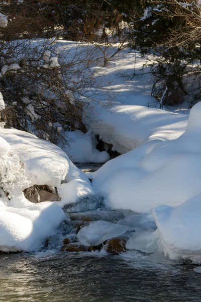 Gölge güzel dağ dere