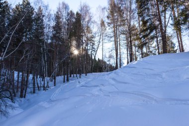 Güneş yamacındaki ağaçların arkasında