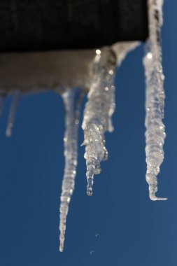 Icicle'ı bırak