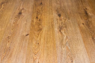 meşe ağacının altında laminat