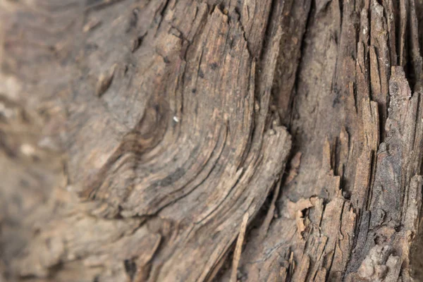 Törött fa textúra — Stock Fotó