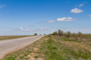 Asfalt yolun ortasında bozkır