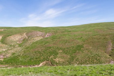 Kazakistan Almatı yakınındaki bozkırlarında tepelerde