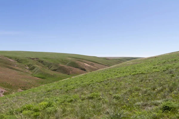 Hills bozkırlarında Kazakistan Almatı yakınındaki bir vadiye ile
