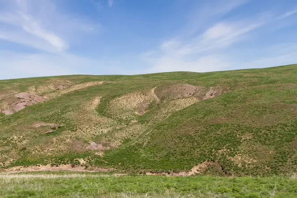 Bozkır Kazakistan'daki Almatı yakınındaki tepelerde