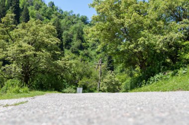 Kırsal asfalt yol yokuş ağaçları arasında