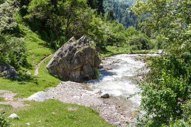 Orta Asya'da bir dağ Nehri yakınında büyük kaya