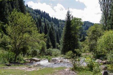 Kazakistan Almatı yakınındaki dağlarda akan nehir