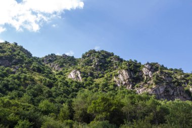 Güzel kayaların arasında yeşil Kazakistan Trans-Ili Alatau Dağları