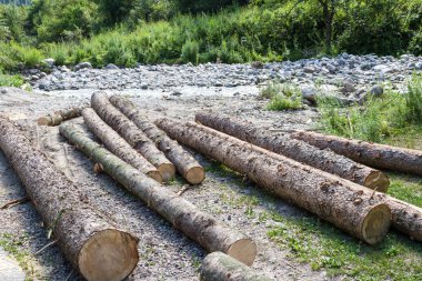 Bir dağ nehir kenarında yalan günlükleri Ladin