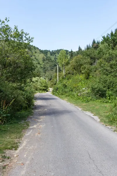 緑の農園の中で山のアスファルト道路 — ストック写真