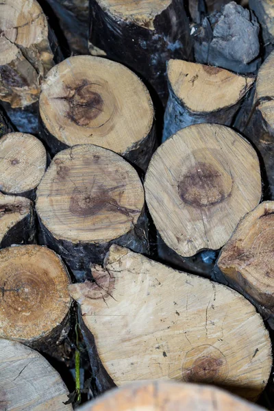 Firewood Log Troncos Sólidos — Fotografia de Stock