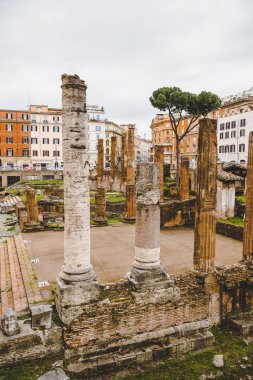 roman forum ruins on cloudy day, Rome, Italy clipart