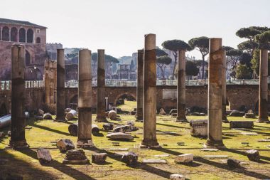 beautiful roman forum ruins, Rome, Italy clipart