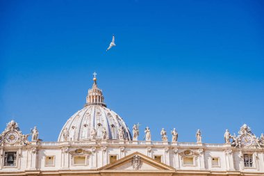 dove flying over famous St. Peter's Basilica, Vatican, Italy clipart