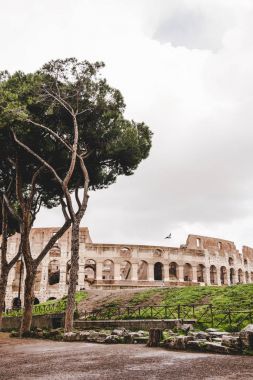 Yeşil ağaçların önünde antik Colosseum kalıntıları bulutlu gün, Roma, İtalya