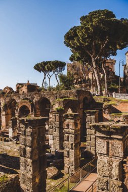 tarihsel Roman Forum kalıntıları ve Roma, Italya'ağaçlar