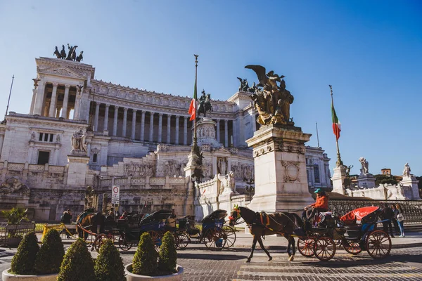 Horse with carts — Stock Photo, Image