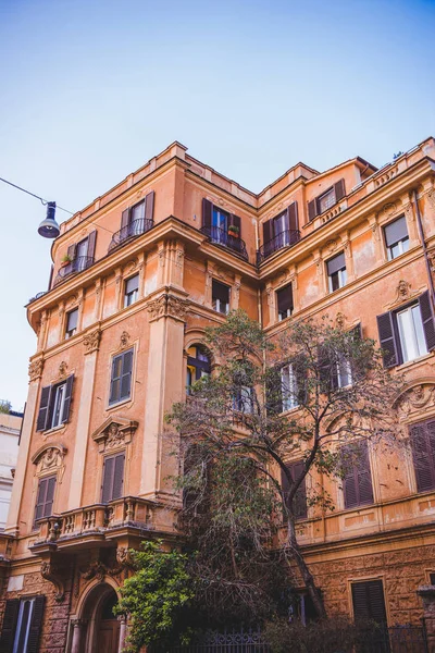 Vista Inferior Hermoso Edificio Con Árbol Calle Roma Italia Imagen De Stock