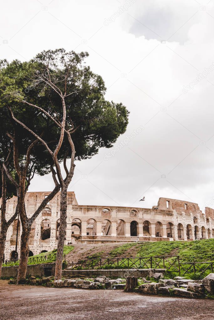 green trees in front of ancient Colosseum ruins on cloudy day, Rome, Italy