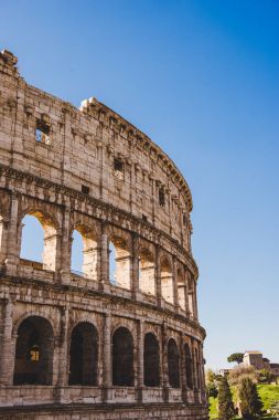 roman Colosseum clipart