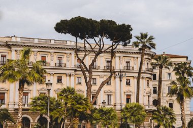 palmiye ağaçları ve eski bina Roma, İtalya