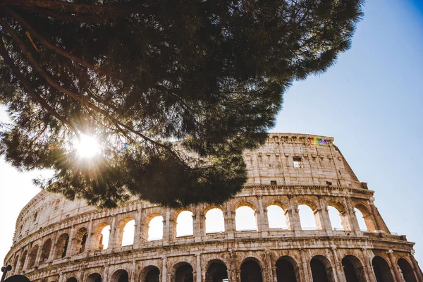 Coliseum — Stockfoto