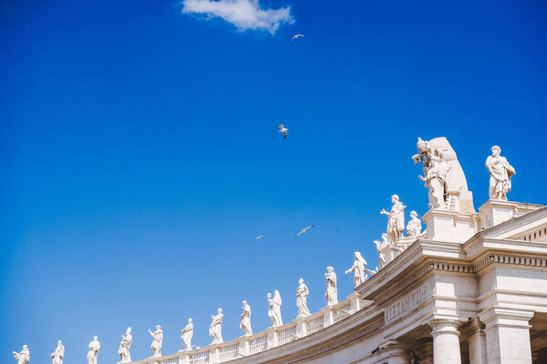 bottom view of birds flying above statues at St Peters Square in Vatican, Italy