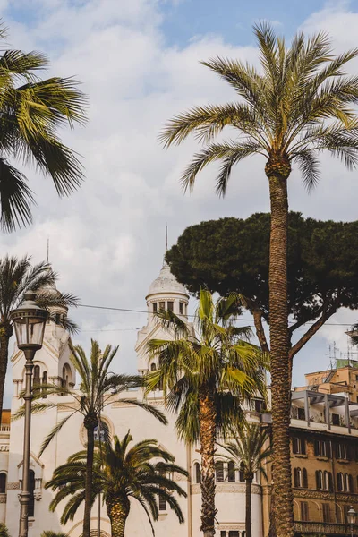 Palm Trees White Building Rome Italy — Stock Photo, Image