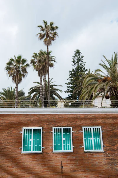 Fachada de casa con ventanas cerradas en frente de palmeras, Anzio, Italia - foto de stock